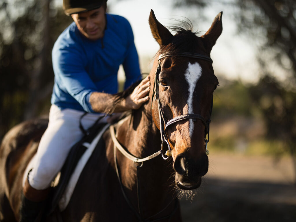 Fig Tree Pocket's equestrian legacy: Horse whispers and community bonds