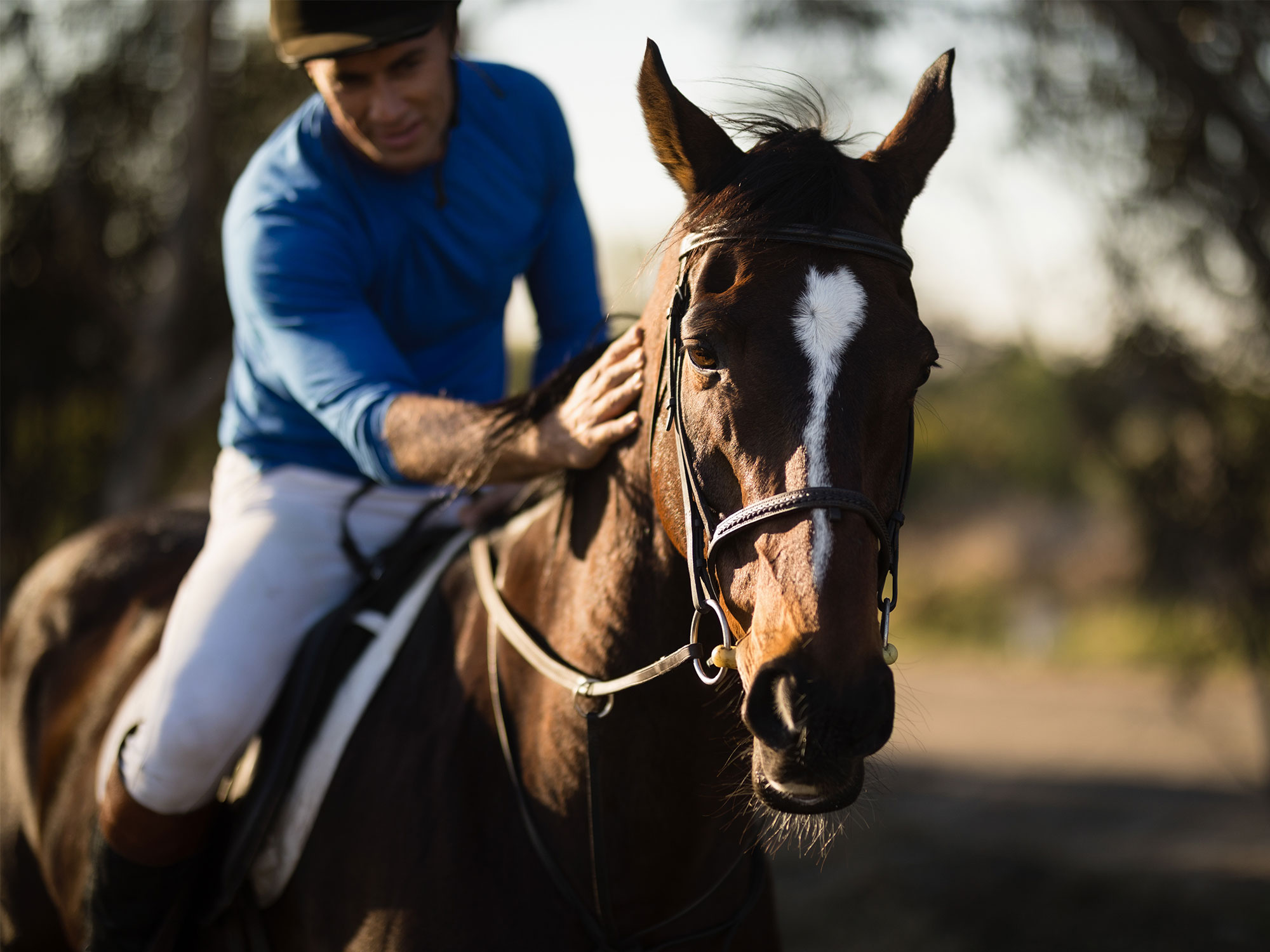 Fig Tree Pocket's equestrian legacy: Horse whispers and community bonds