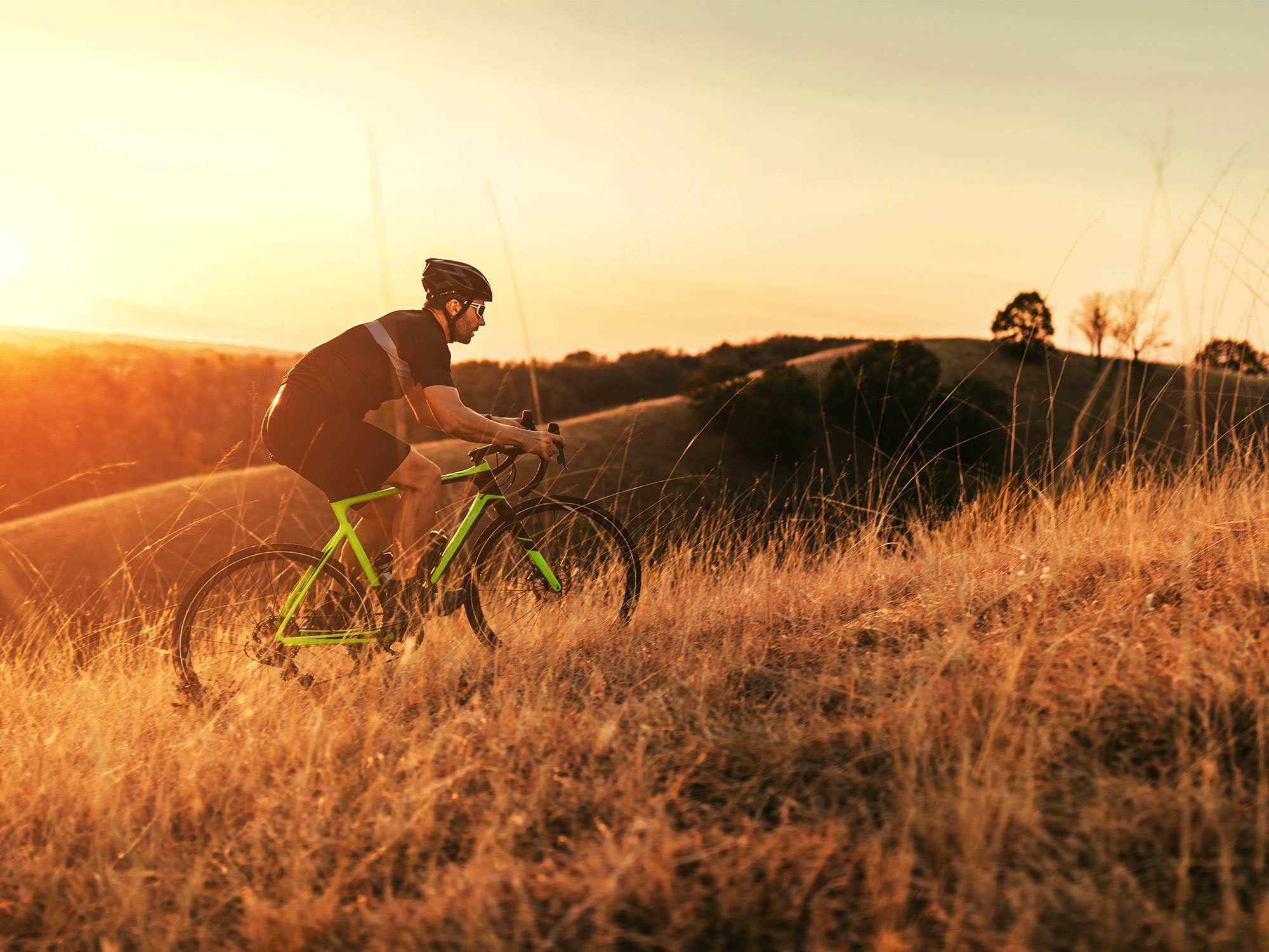 Scaling the quiet giants of Pullenvale on two wheels