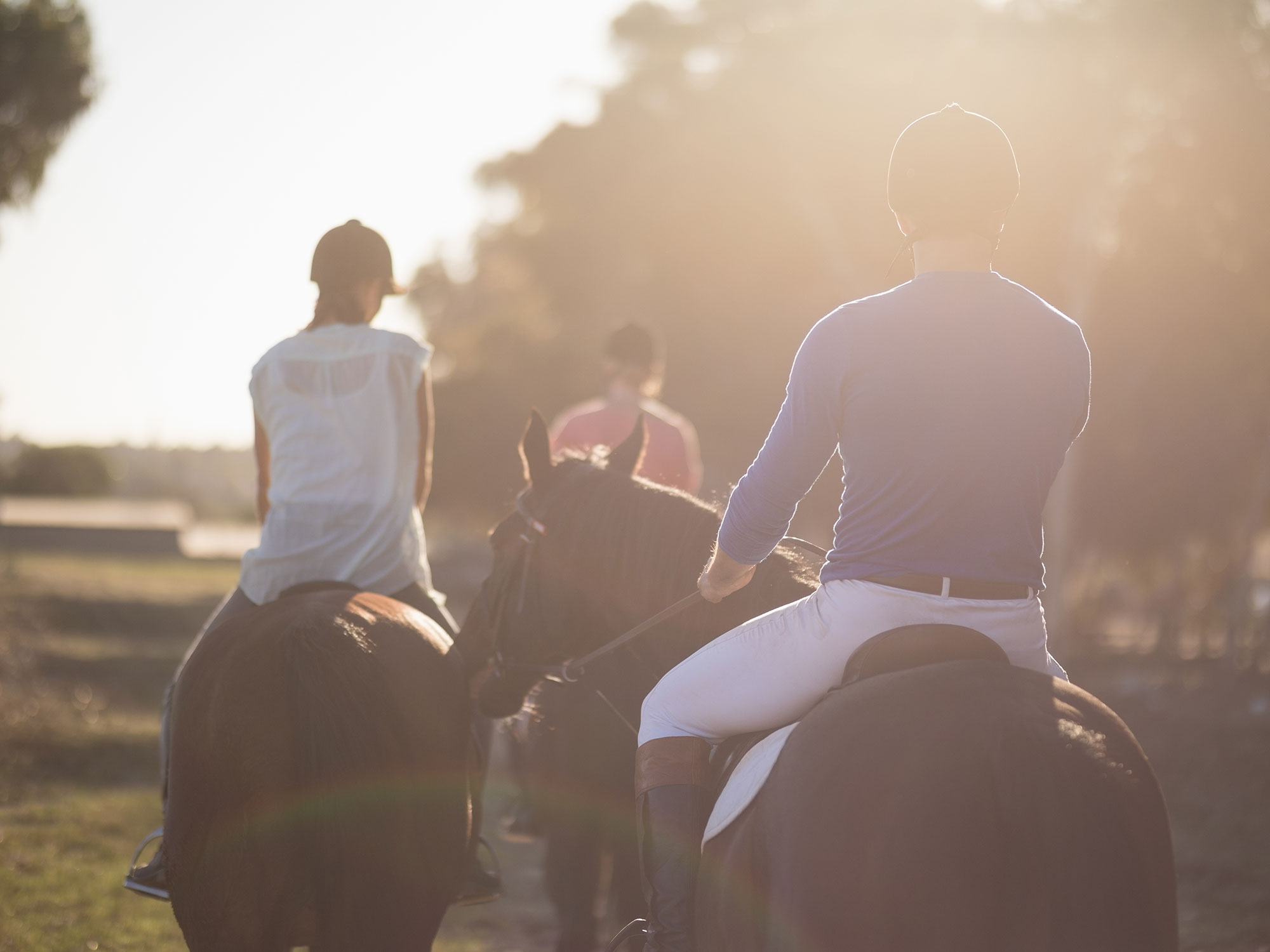 The enduring rhythm of Pullenvale horse trails