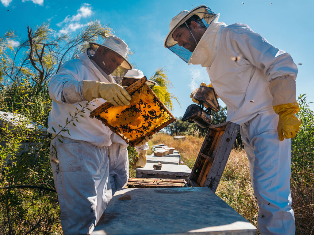 The pure philosophy behind hyper-local honey in Pullenvale